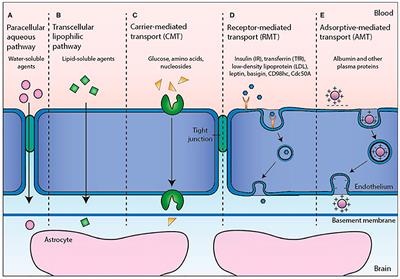 The New Frontiers in Neurodegenerative Diseases Treatment: Liposomal-Based Strategies